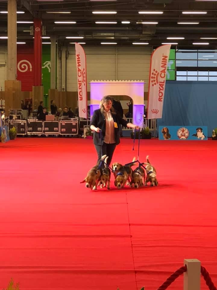 De La Croix Des Bruyeres - Exposition nationale Paris Dog Show 12/01/2019