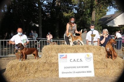 De La Croix Des Bruyeres - Exposition canine - 13/09/20 - Dompierre s/ Bresbre