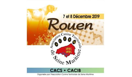 De La Croix Des Bruyeres - CACS - CACIB ROUEN 2019